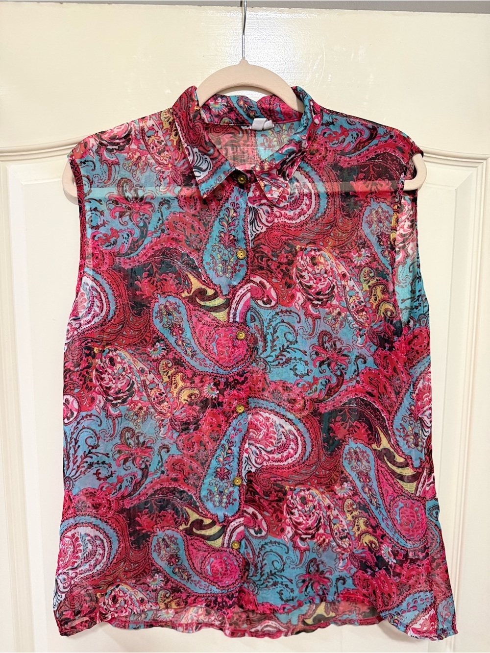 Lapis Sheer Vibrant Paisley Sleeveless Blouse in Pink & Blue Large, Cottagecore